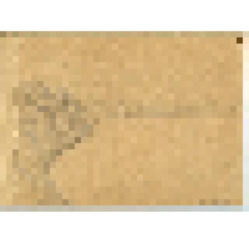 Альбом с рисунками Хохлова С.С. из коллекции материалов Хохлова Сергея Спиридоновича (1910-1974), саратовского ученого-генетика, доктора биологических наук, профессора, зав.кафедрой генетики и дарвинизма СГУ