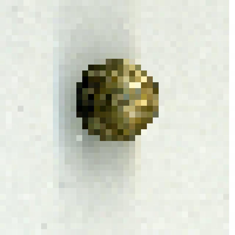 Пуговица для одежды