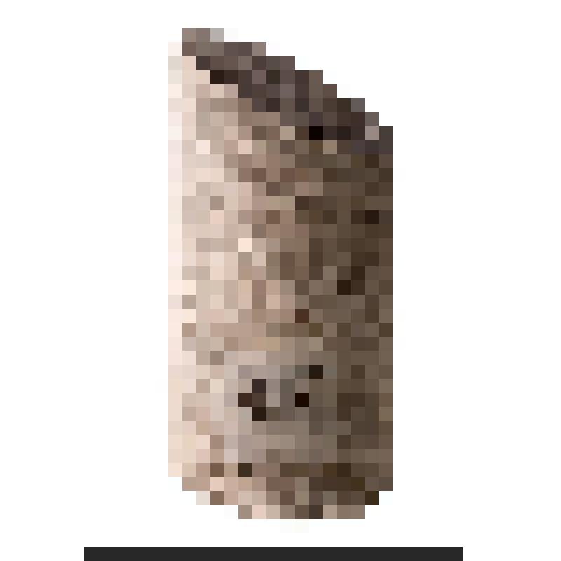 Образец породы (песчаник). Керн