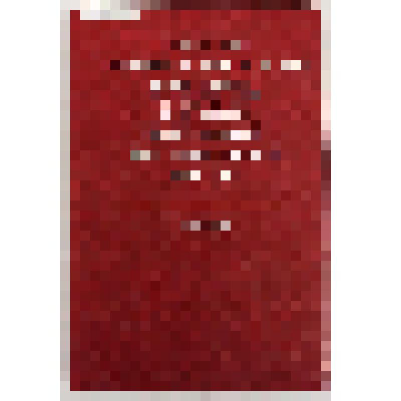 Сборник. Развитие социалистического искусства в странах центральной и Юго-Восточной Европы. 1933-1939 / ВНИИИС. - М.: Изд. "Наука", 1983. - 382 с