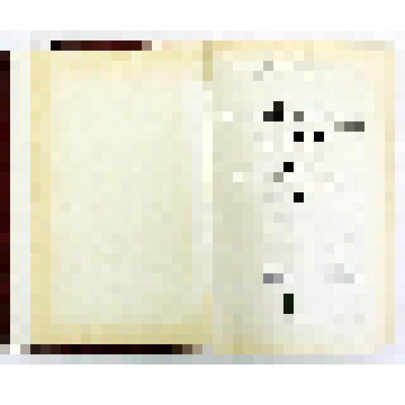 Сборник. Развитие социалистического искусства в странах центральной и Юго-Восточной Европы. 1933-1939 / ВНИИИС. - М.: Изд. "Наука", 1983. - 382 с