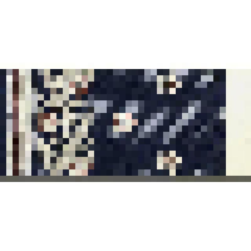 Таблица-зашивка в характере русской народной вышивки центральных областей (Горьковская область). Из альбома зашивок "Сочетание традиционной вышивки и кружева с тканями различных структур, гладкокрашенными, пёстроткаными, набивными и новыми отделочными мат