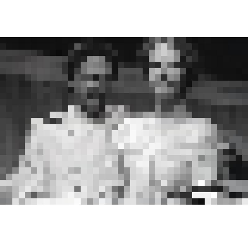 Негатив черно-белый. Тузенбах - Гвоздицкий В.В.;  Ирина - Медведева П.В. "Три сестры" (1997 - 2003)