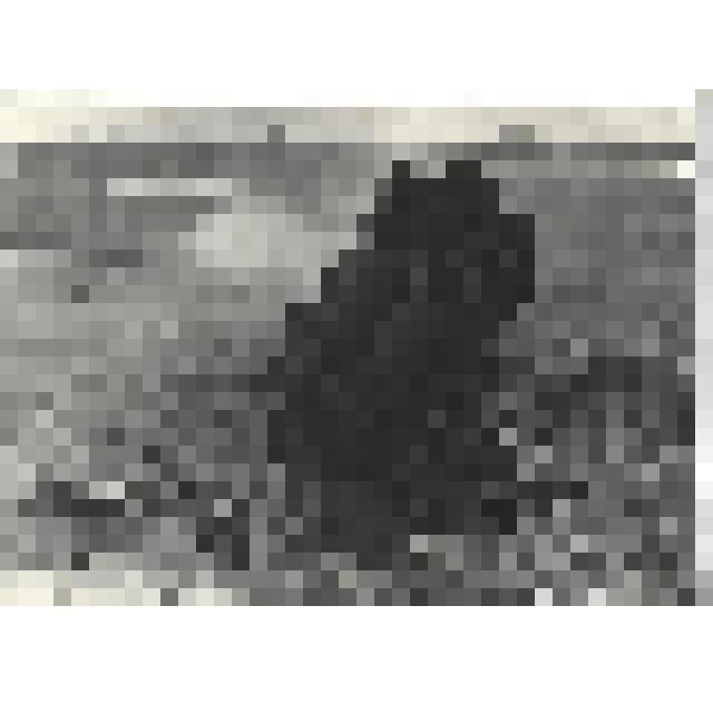 Фотографии. Фото ч/б. В дни генерального наступления на Берлин. После боя с немецкими фашистами на Зееловских высотах было захвачено много таких шестиствольных минометов,апрель 1945 г