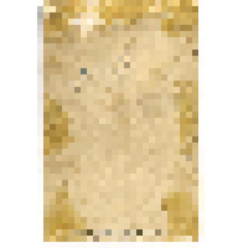 Фотопортрет. Борис Гамалей с отцом