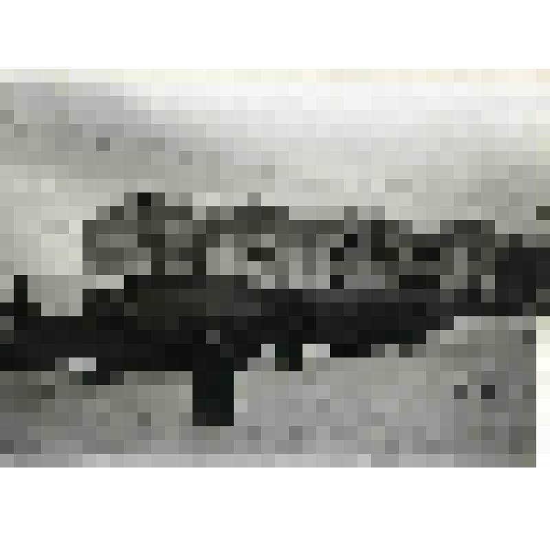 Фотография. ПТУ №3