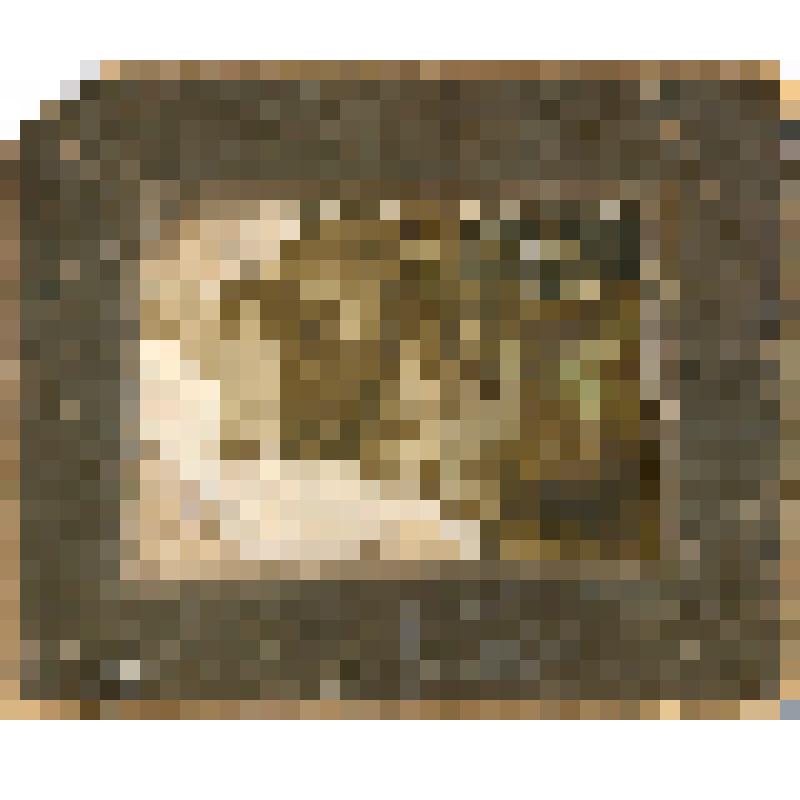Фотография семьи Рябышевых