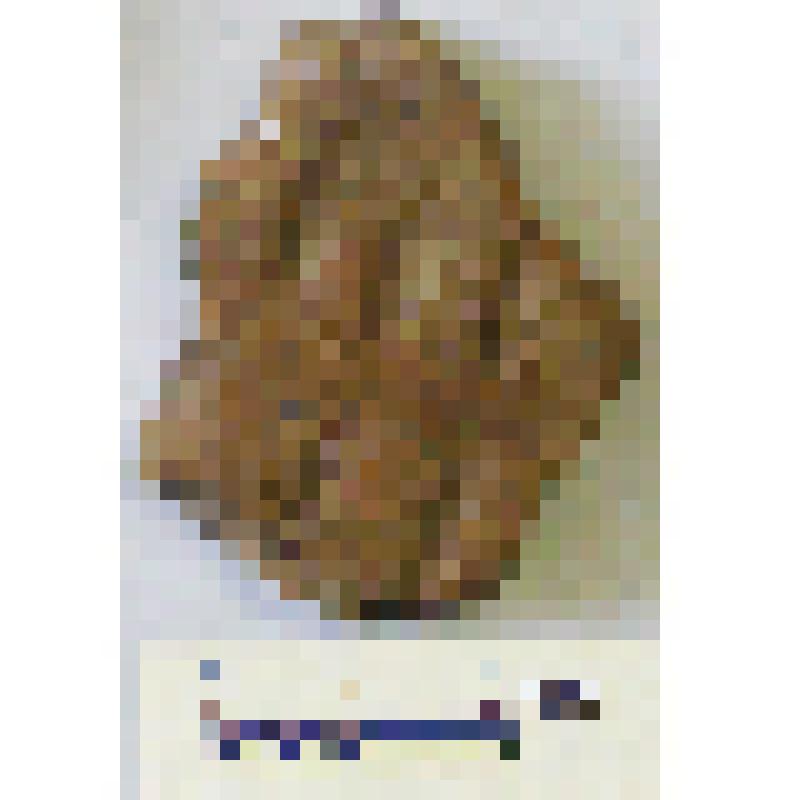 Фрагмент тулова сосуда