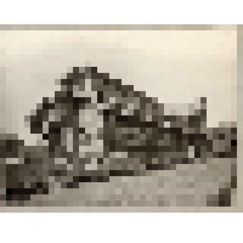 Конюшня в имении Н. П. Малютина. Петербургское шоссе. 1903. Не сохранился. г. Москва. Конюшня в имении Н. П. Малютина. Кекушев Лев Николаевич. Усадебный двор со зданием конюшни вдоль грунтовой дороги