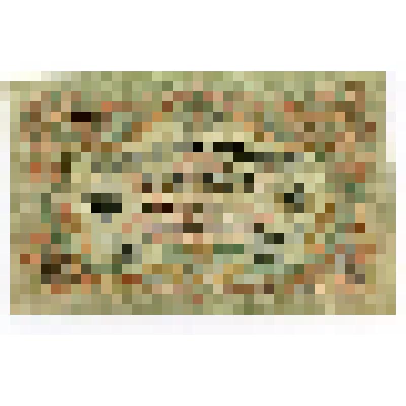 Кредитный билет 3 рубля 1905 года