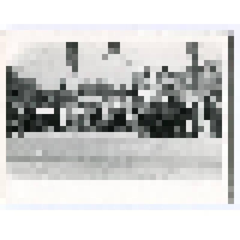 Фото групповое. Жители поселка Средняя Ахтуба на митинге