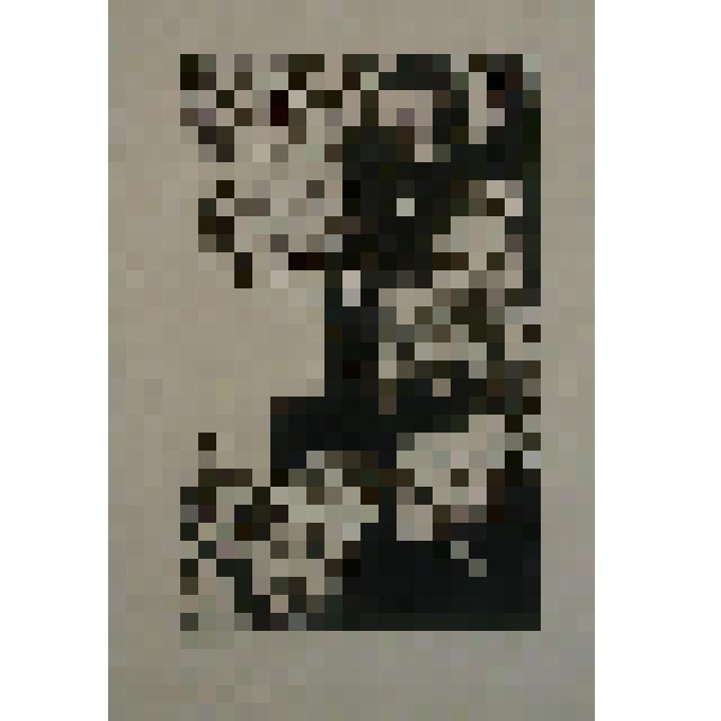 Лист 4. Из комплекта: Иллюстрации к повести А.К. Толстого "Похождения Невзорора или Ибисусус"