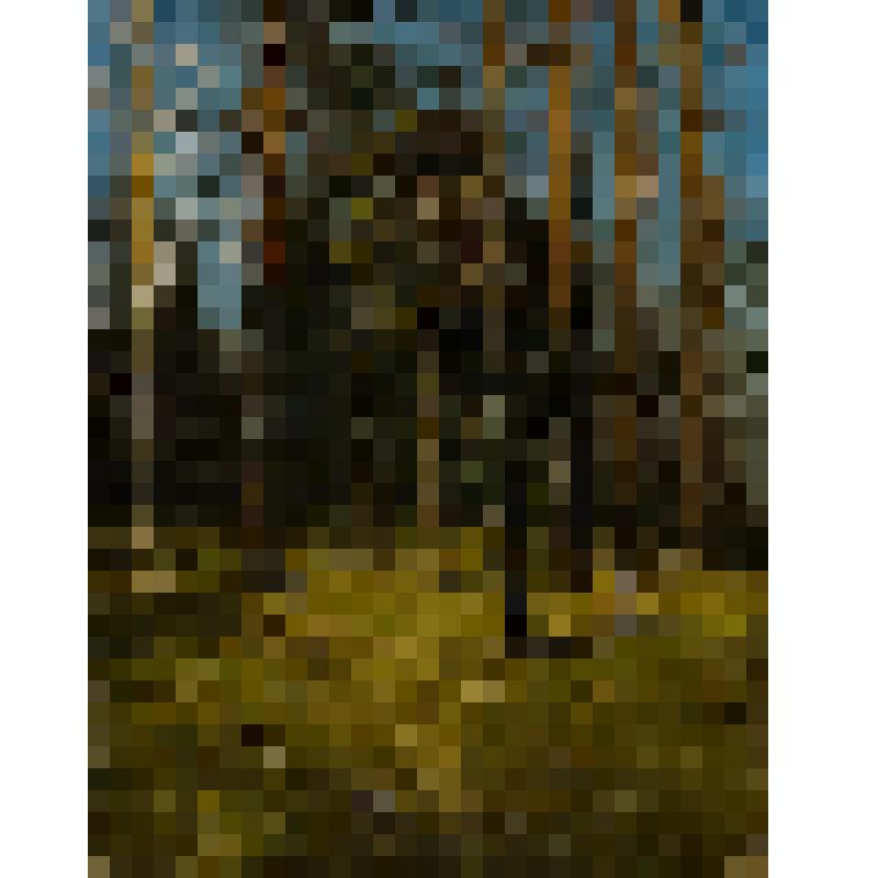 Сосновый бор