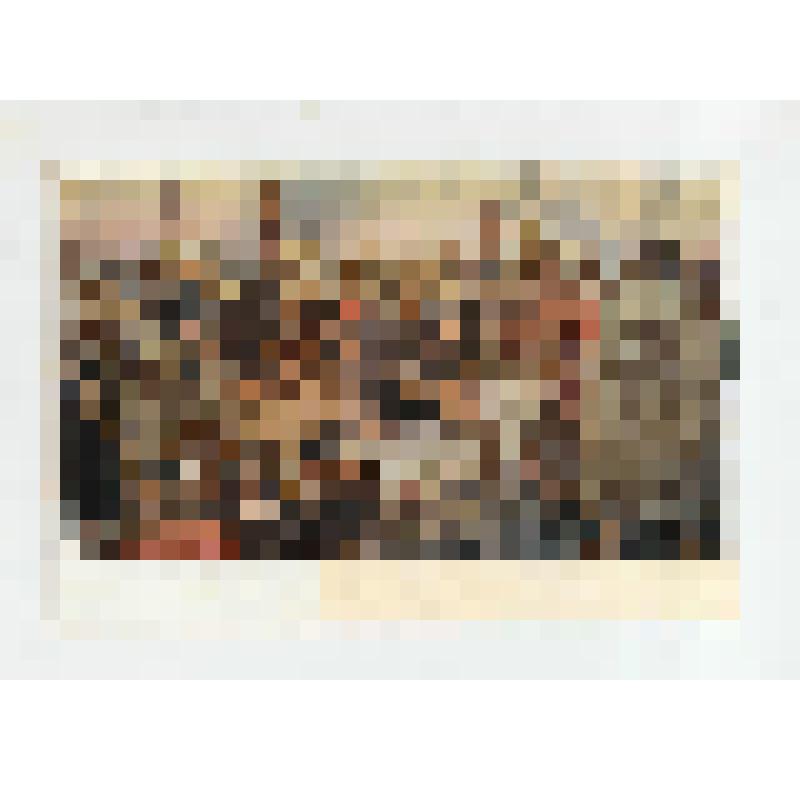 Почтовая карточка. "И.В. Репин (1844-1930). Запорожцы (1891)" (Серия "Государственный Русский музей"). Из комплекта: Коллекция почтовых открыток