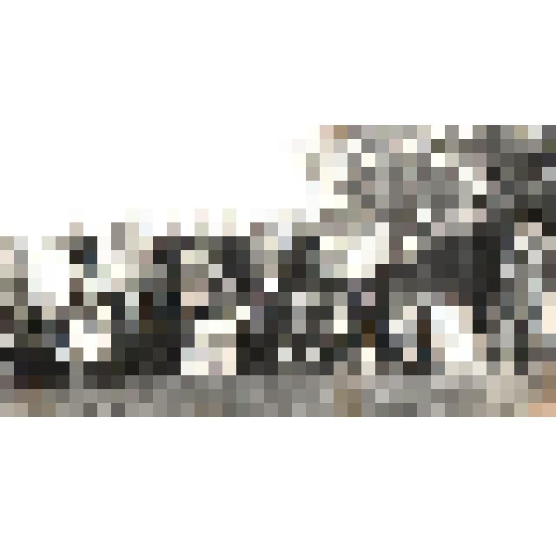 Фотография. Сотрудники  СПТУ №10