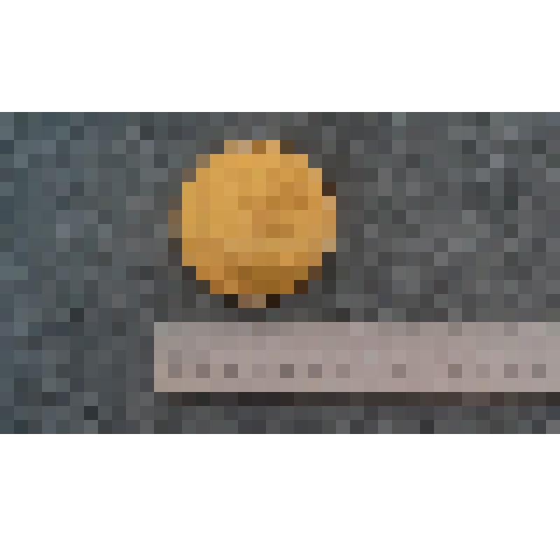 Медаль первенство СССР по лыжам среди ветеранов Лобынцева Николая Яковлевича