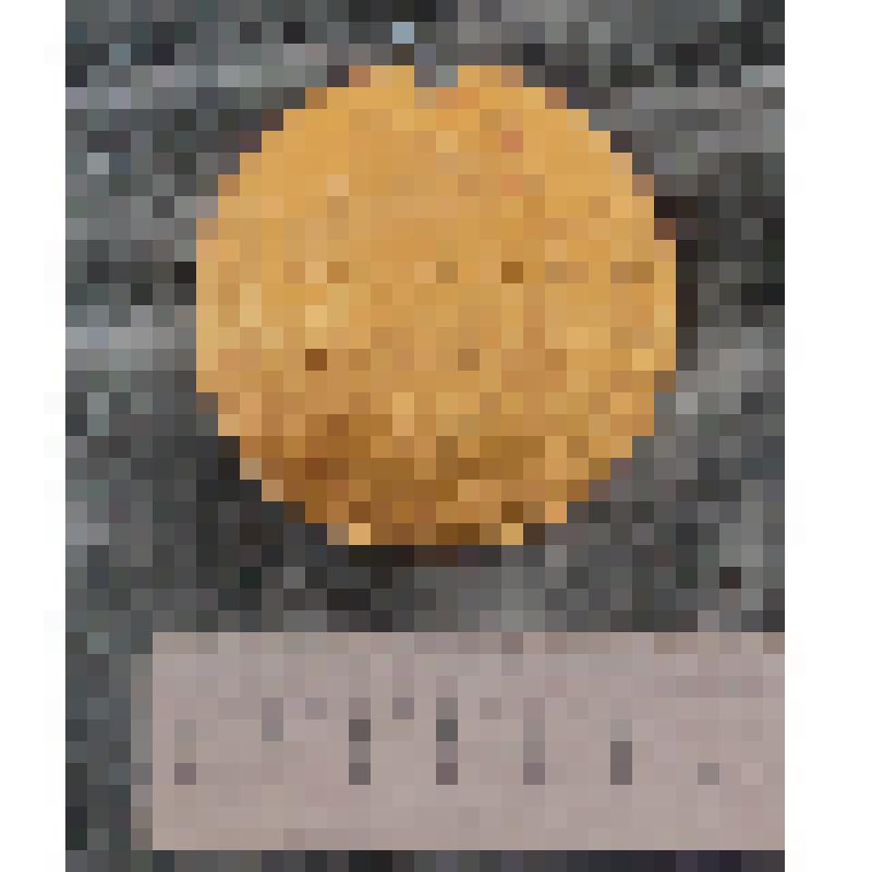 Медаль первенство СССР по лыжам среди ветеранов Лобынцева Николая Яковлевича