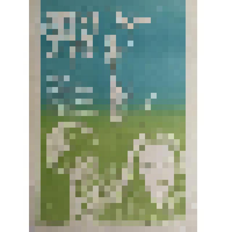 плакат. Фильм: Зеленый остров. 1984