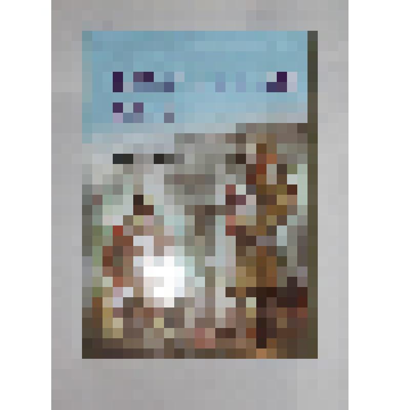 Книга. Семикин В.В. Бастионная рать