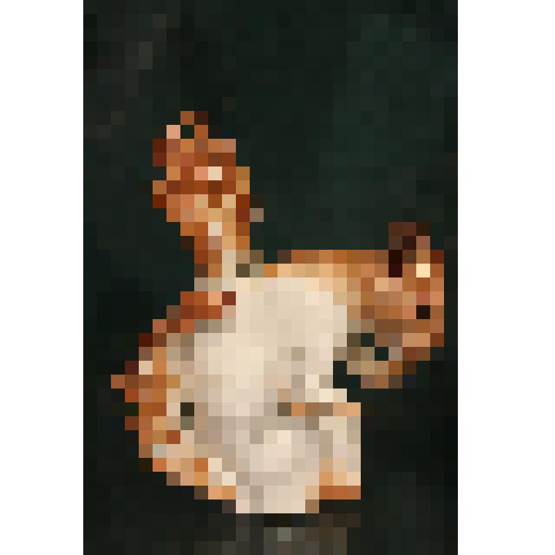 Статуэтка. Белка