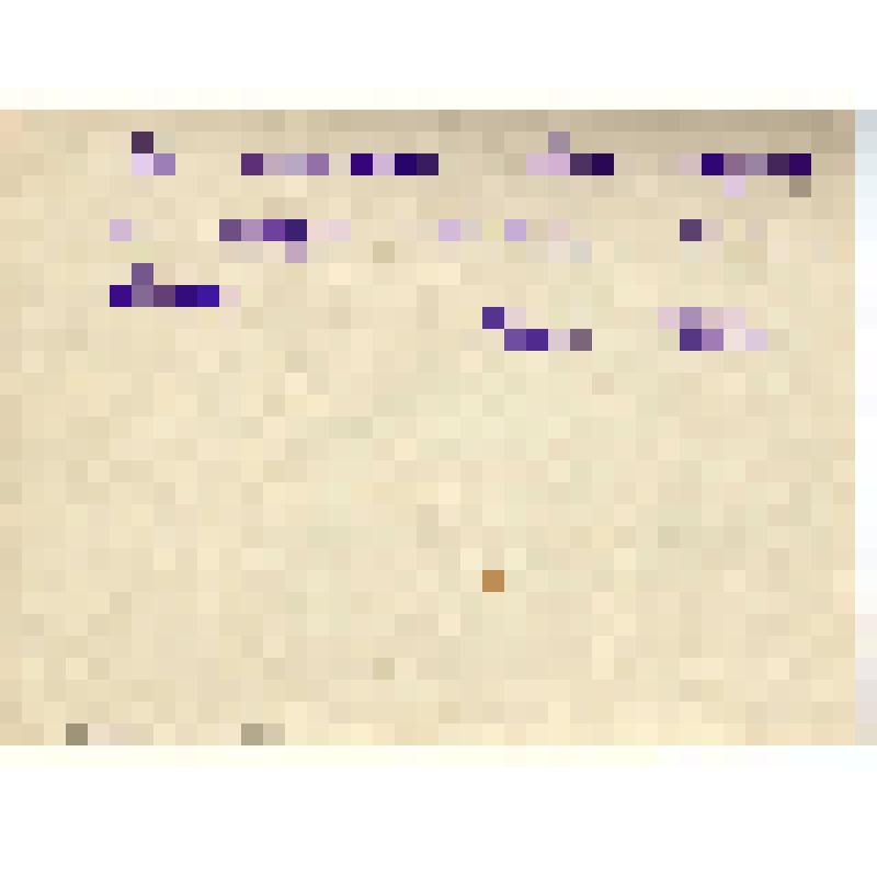 Фотография. Дети