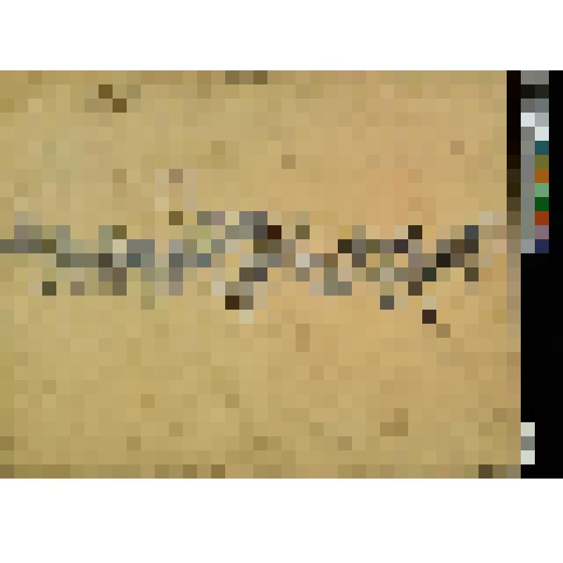 Эскиз декора с шиповником для белого стекла