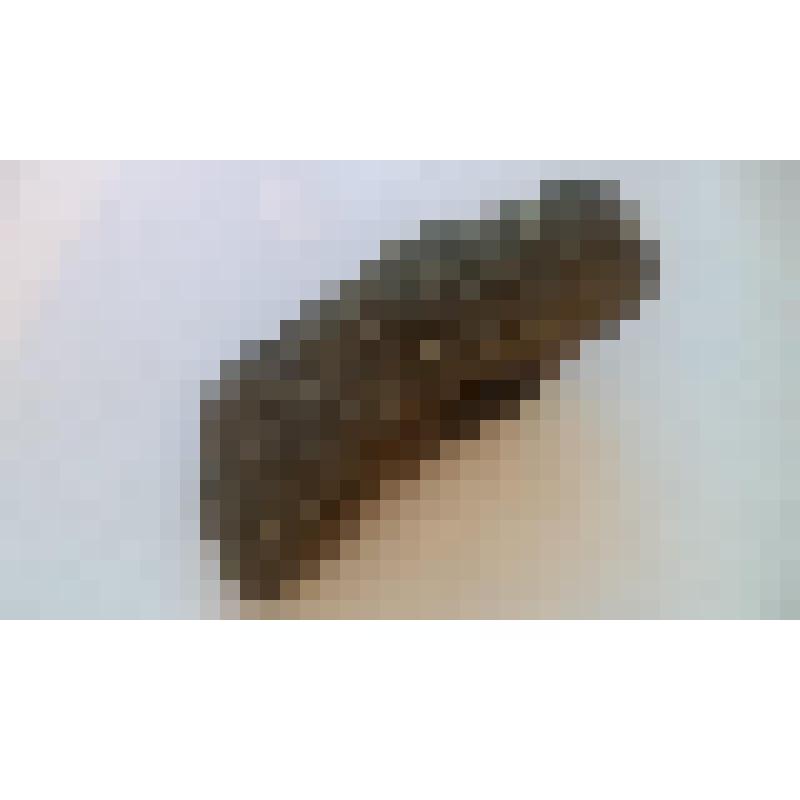 Каменный молоток