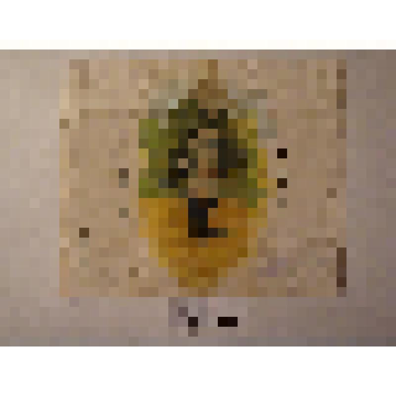 Обертка от конфеты «ЛевТолстой»