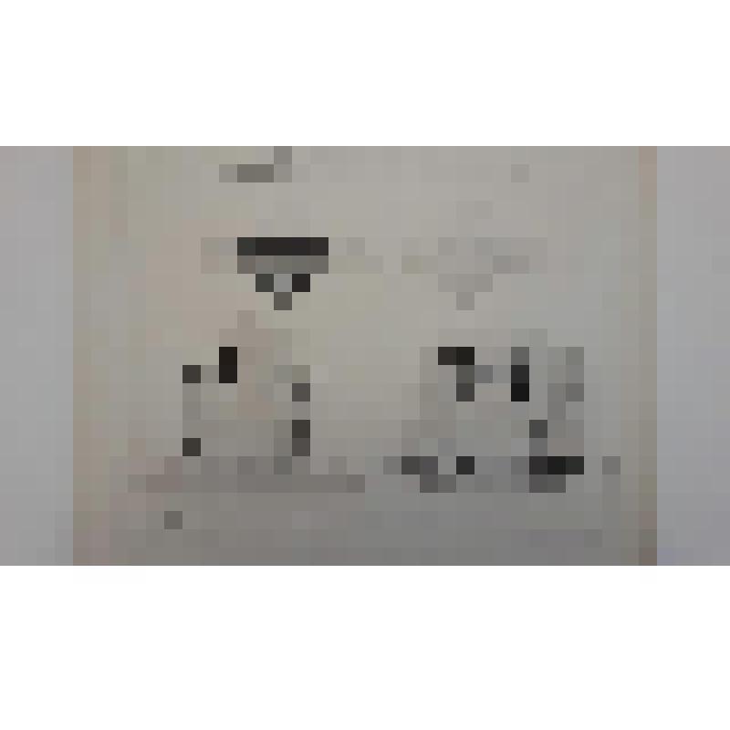 Храм Воскресения Христова ("Спас на Крови"), наб. канала Грибоедова.(Екатериниский), 26. 1883-1907 гг. г. Санкт-Петербург (Ленинград). Храм Воскресения Христова ("Спас на Крови"). Щурупов Михаил Арефьевич. Второй конкурс проекта храма. Проект М. Щурупова