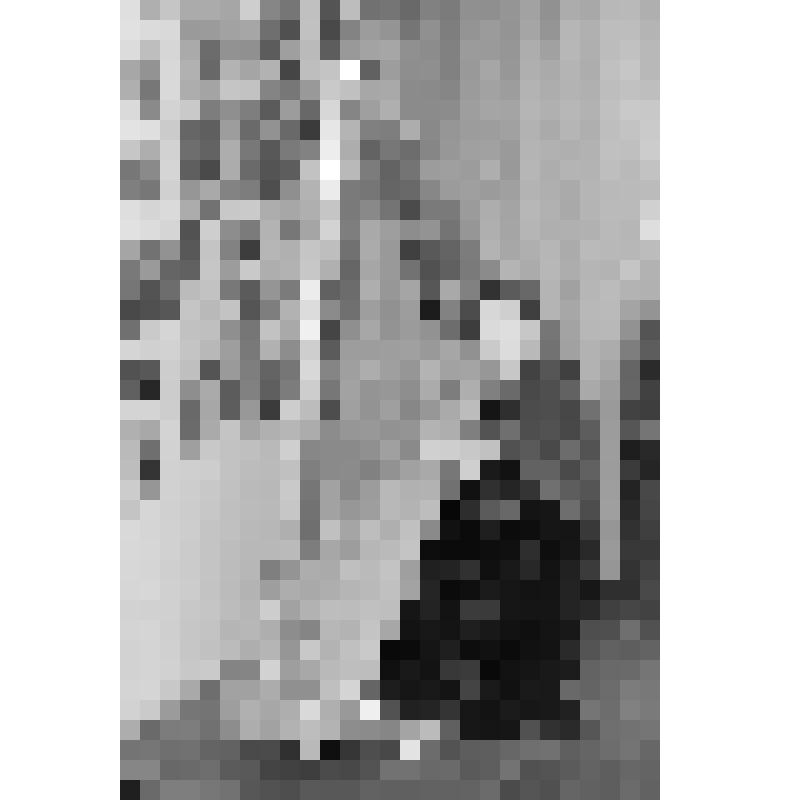 Негатив. Эрдели К.А. Сидит за арфой.
Москва, 1960 г