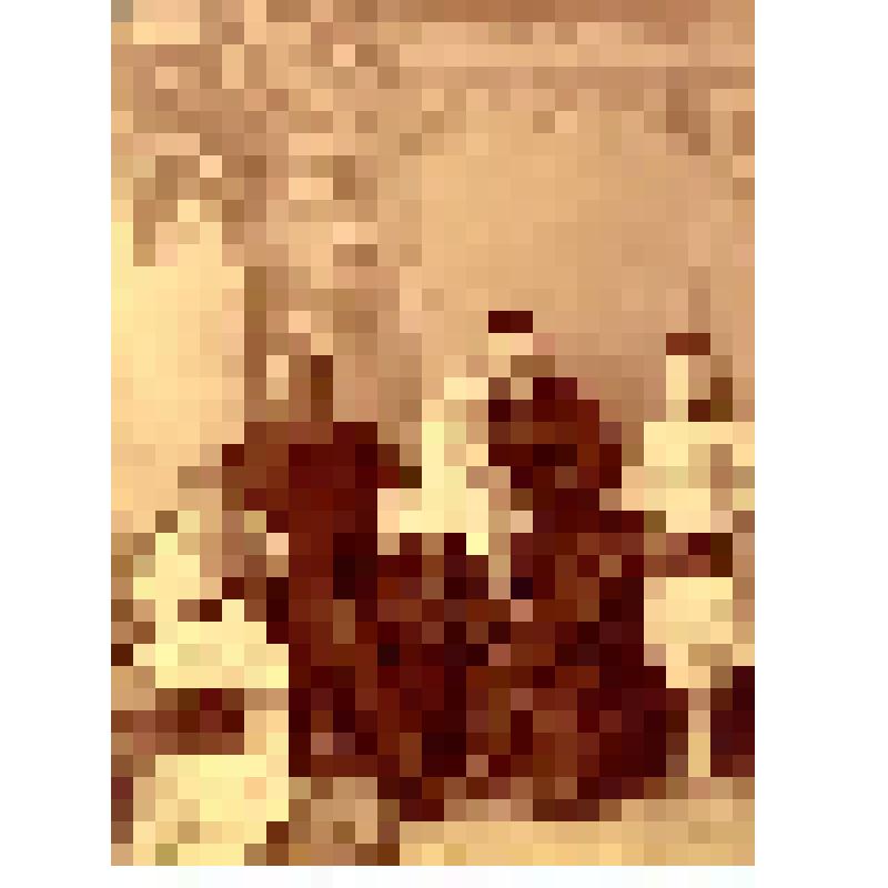Фотография. Семья Кашиных