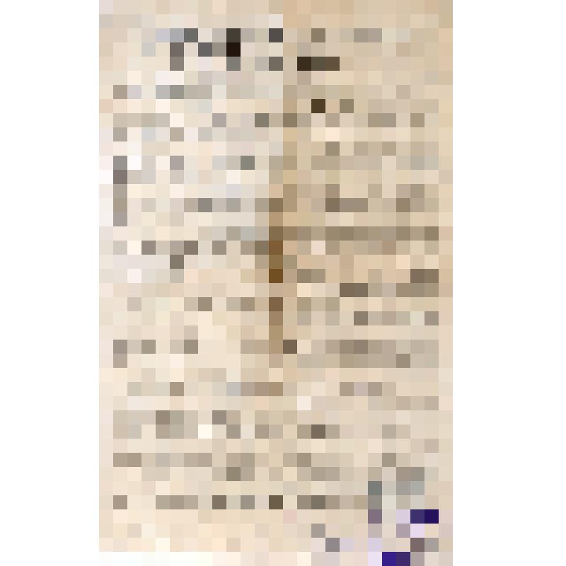 Российская социал-демократическая рабочая партия. Центральный комитет РСДРП. Письмо к партийным организациям N 1