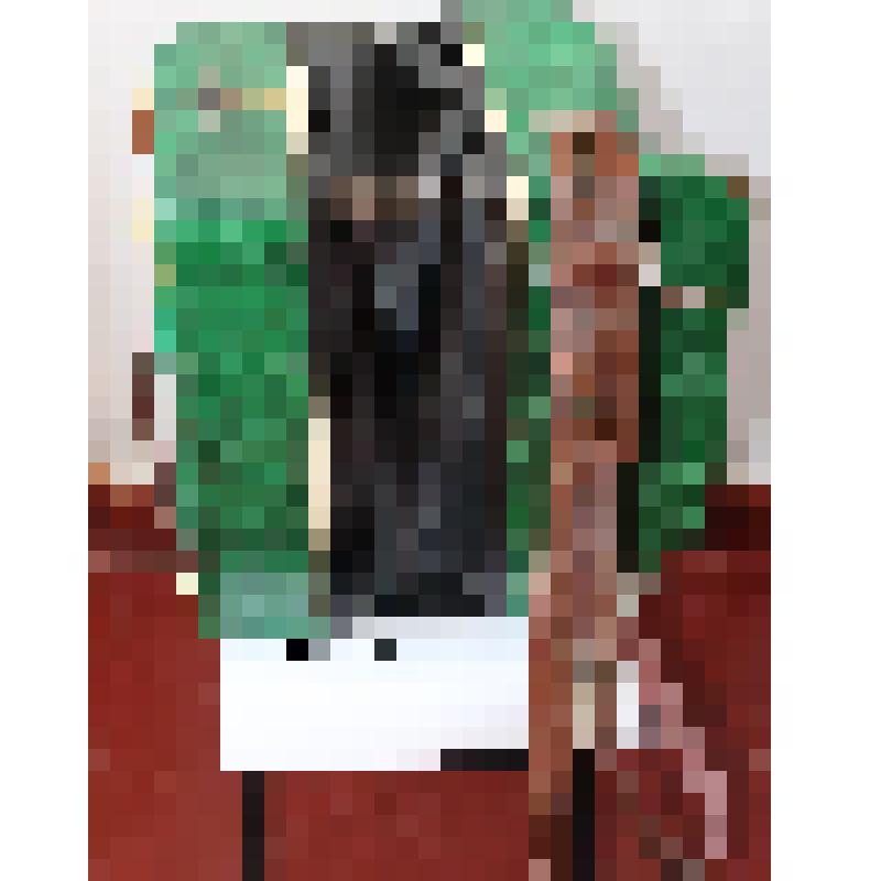 Гармонь «Беларусь»