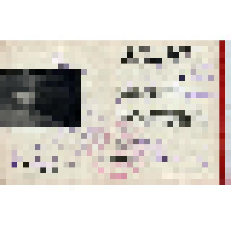 Мандат N 2 члена Президиума Керченского Горрайкома РКП Ляпина И.М. с фото