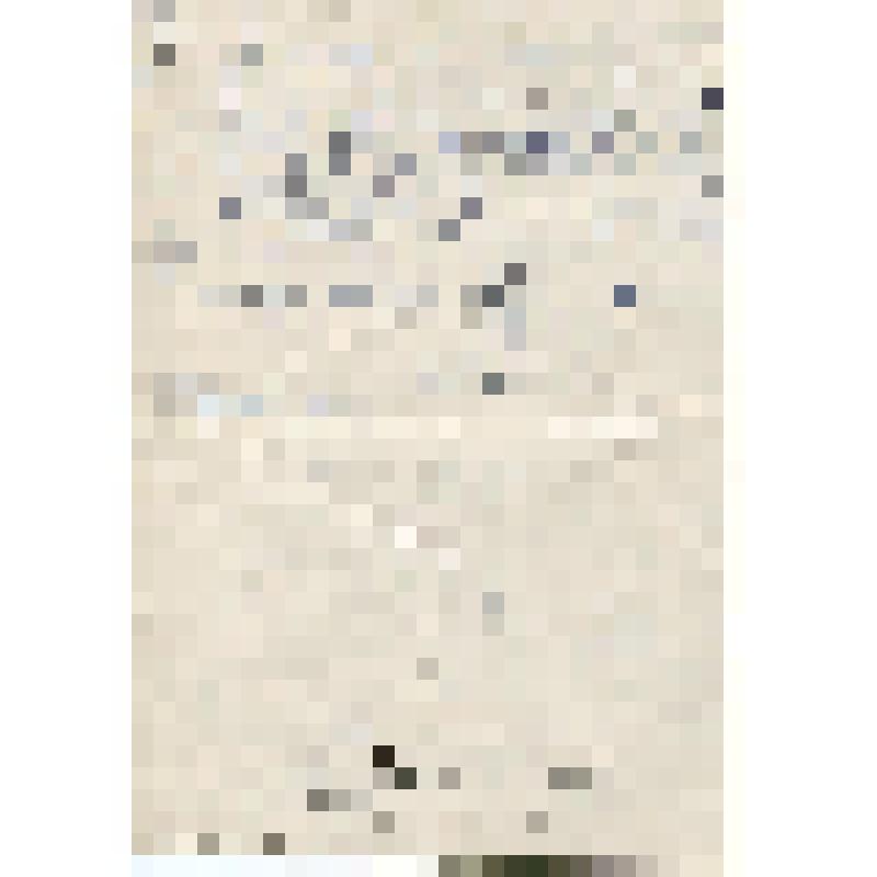 Письмо А.А.Торбинской (матери) и родным в г. Александров от А.Н.Торбинского из Германии