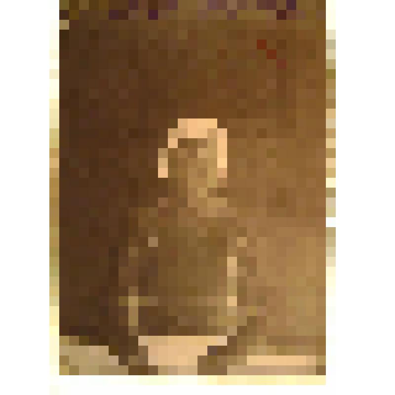 Негатив. Портрет поясной молодой женщины