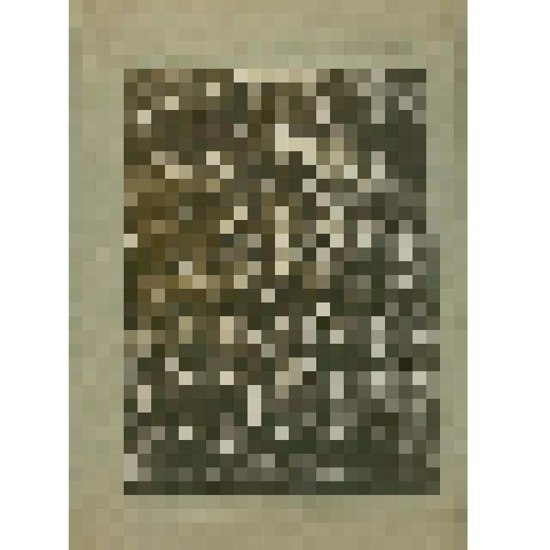 Фотография. Преподаватели и студенты II курса отделения земледелия Красноуфимского с/х техникума, из коллекции материалов Хохлова Сергея Спиридоновича (1910-1974), саратовского ученого-генетика, доктора биологических наук, профессора, зав.кафедрой генетик