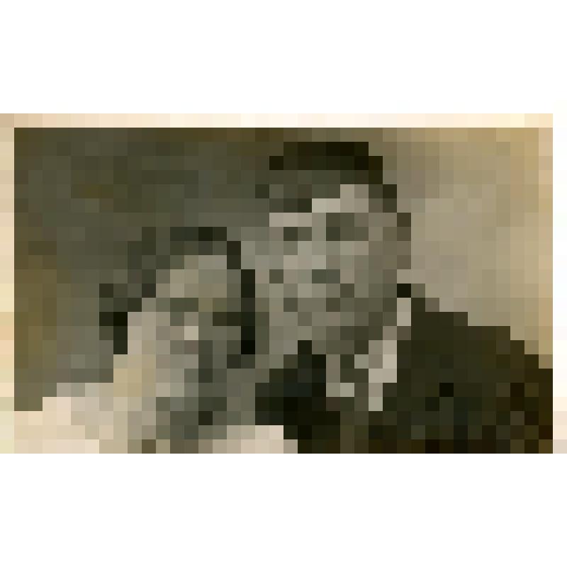 Фотография. Клюевы Т.М. и Иван Ильич