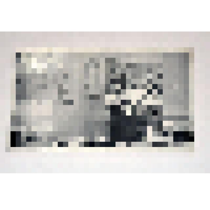 Фото. Ученицы 10 "А" класса средней школы № 40 г. Ульяновска в учебном кабинете после уроков