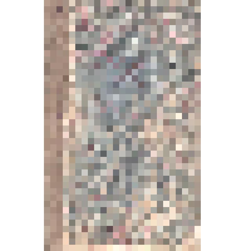 Журнал. Исторический вестник. Историко-литературный журнал. Т. 125. № 7. Июль. СПб.: Типография А.С. Суворина, 1911