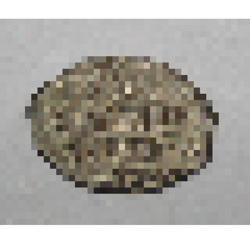 Чешуйчатая монета времён Бориса Фёдоровича