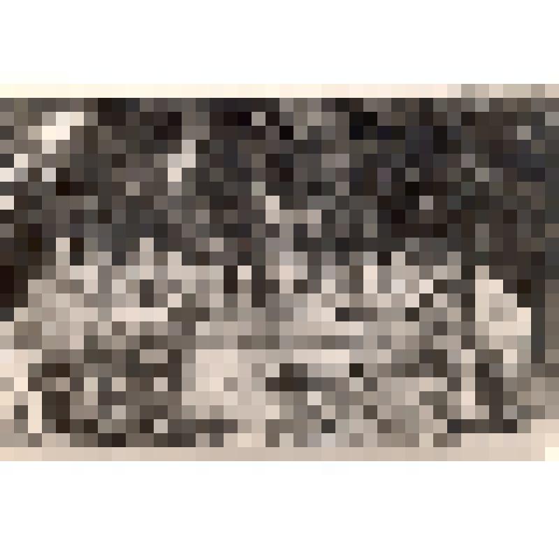 Фотография "Семья Савиных на отдыхе  в "Кавказской Ривьере"