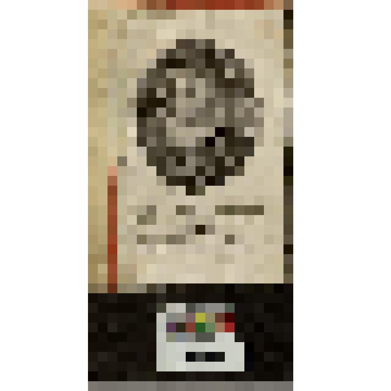 Портрет французской королевы Екатерины Медичи. «Katharina von Medici Königin...»