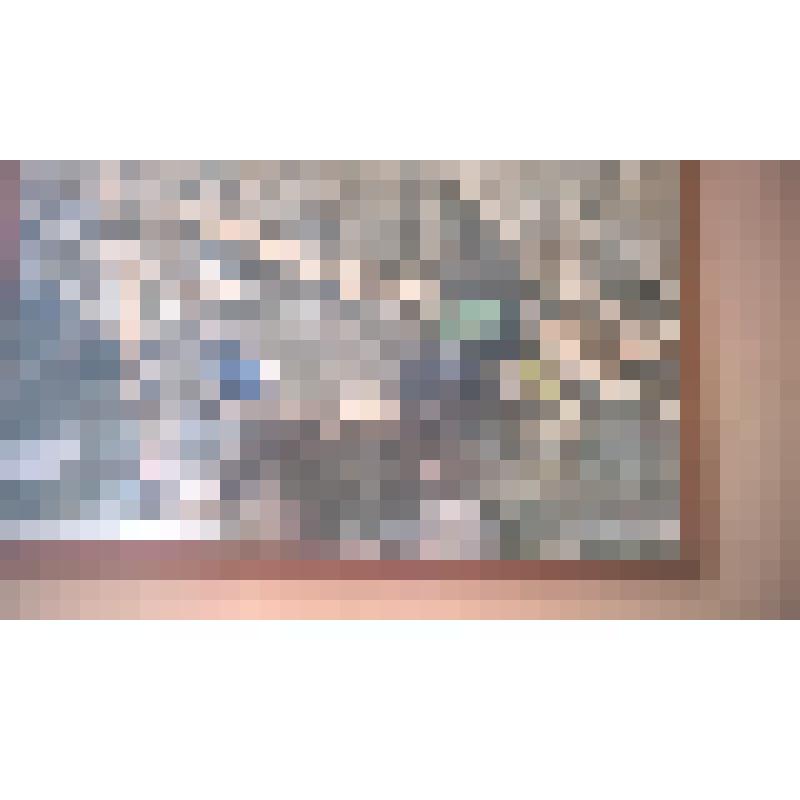 Обыкновенная кряква