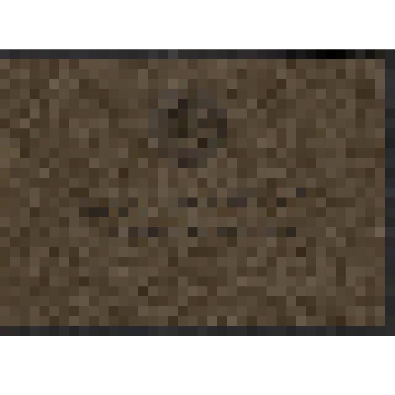 Удостоверение бессрочное № 579725 о праве на льготы Тимощенко Валентины Евстигнеевны с фотографией