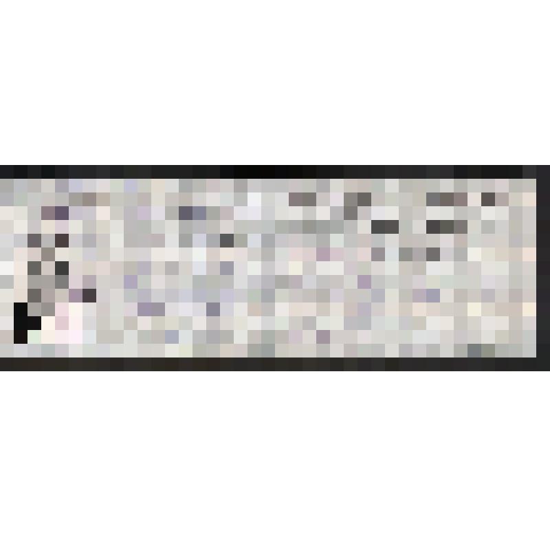 Удостоверение бессрочное № 579725 о праве на льготы Тимощенко Валентины Евстигнеевны с фотографией