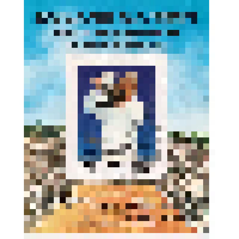 Марка № 139 "Стеффи Граф" (Северная Корея). Почтовые марки Северной Кореи. Из комплекта: Коллекция марок "125 лет почтовой марке"