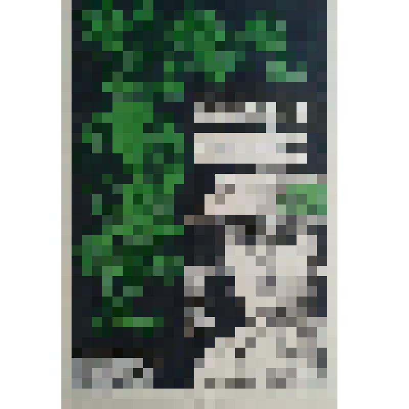плакат. Фильм: Возвращение Баттерфляй. 1982