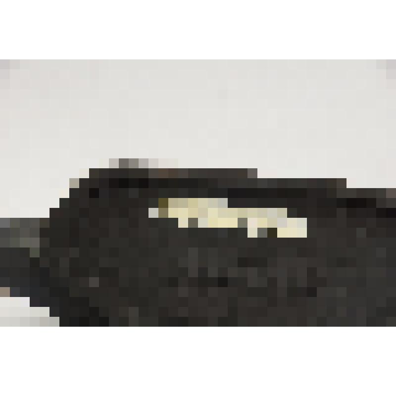 Скульптура "Кабан"