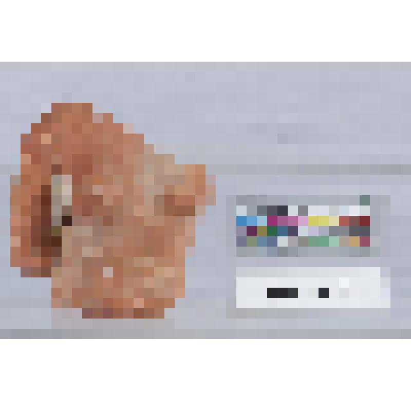 Фрагментированная протома - полуфигура богини: правое плечо, рука, грудь (до талии)